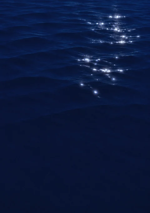 夜の水面
