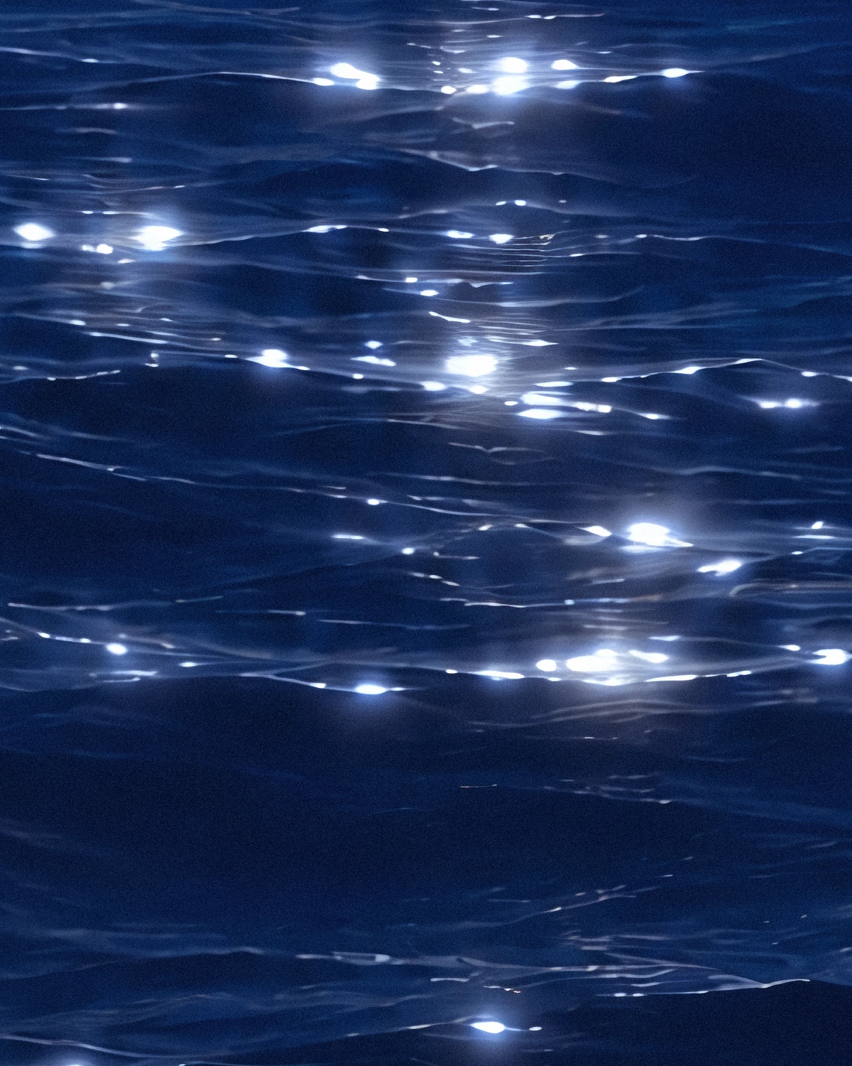 夜の水面の原寸の一部